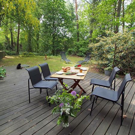Ferienwohnung Am Duemmer See Dummer Dış mekan fotoğraf