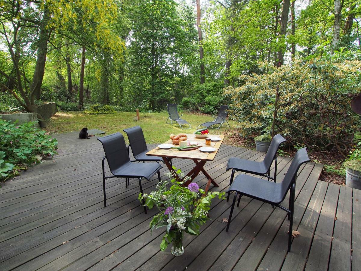 Ferienwohnung Am Duemmer See Dummer Dış mekan fotoğraf
