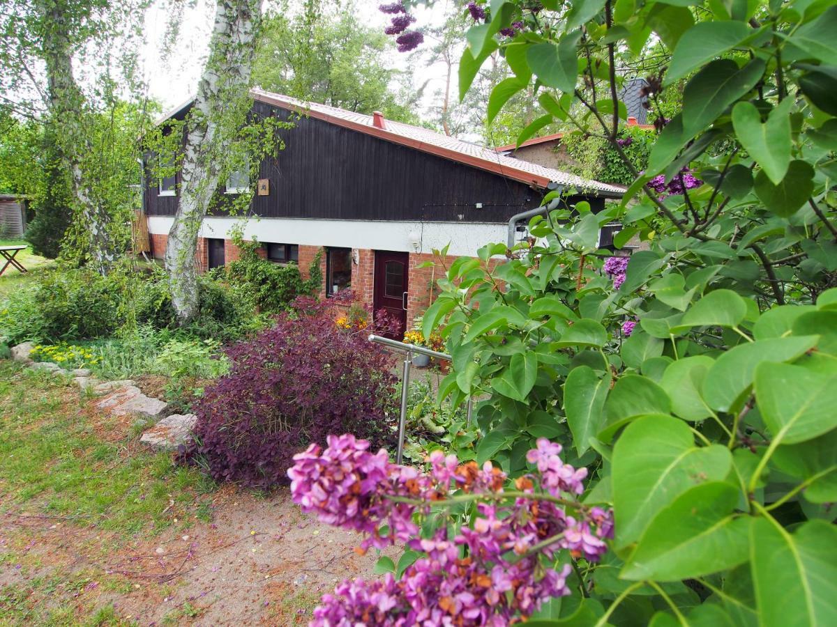 Ferienwohnung Am Duemmer See Dummer Dış mekan fotoğraf