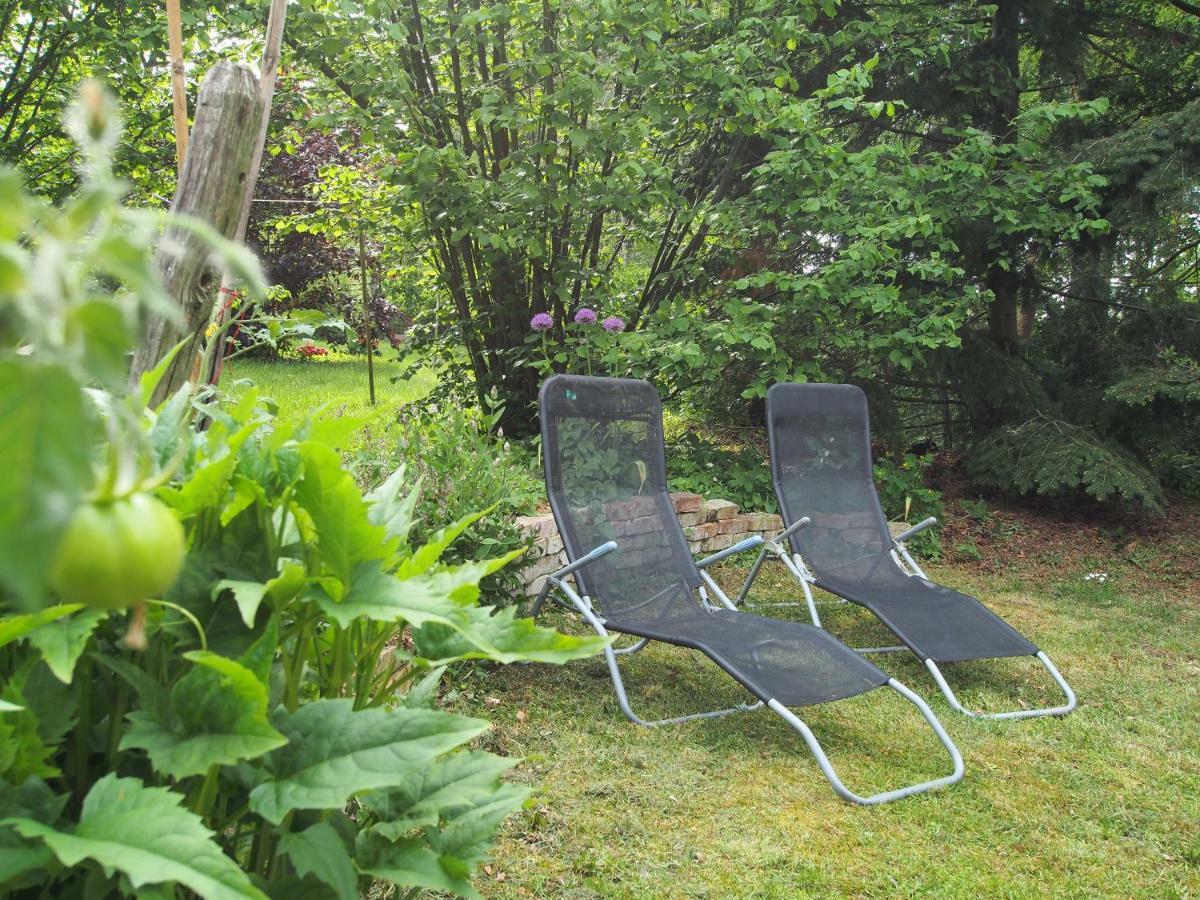 Ferienwohnung Am Duemmer See Dummer Dış mekan fotoğraf
