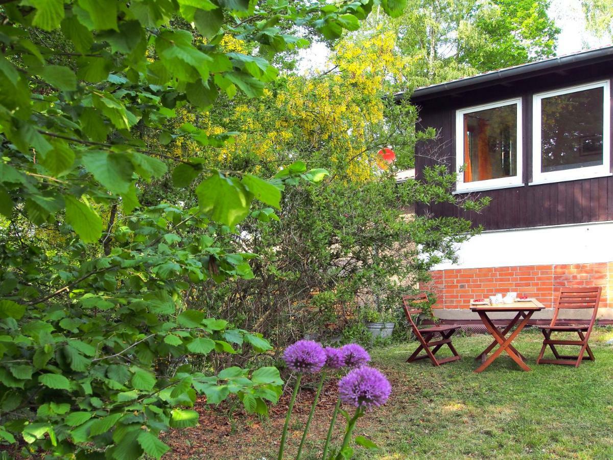 Ferienwohnung Am Duemmer See Dummer Dış mekan fotoğraf
