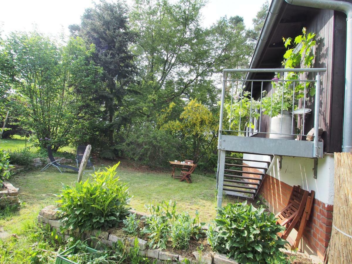 Ferienwohnung Am Duemmer See Dummer Dış mekan fotoğraf