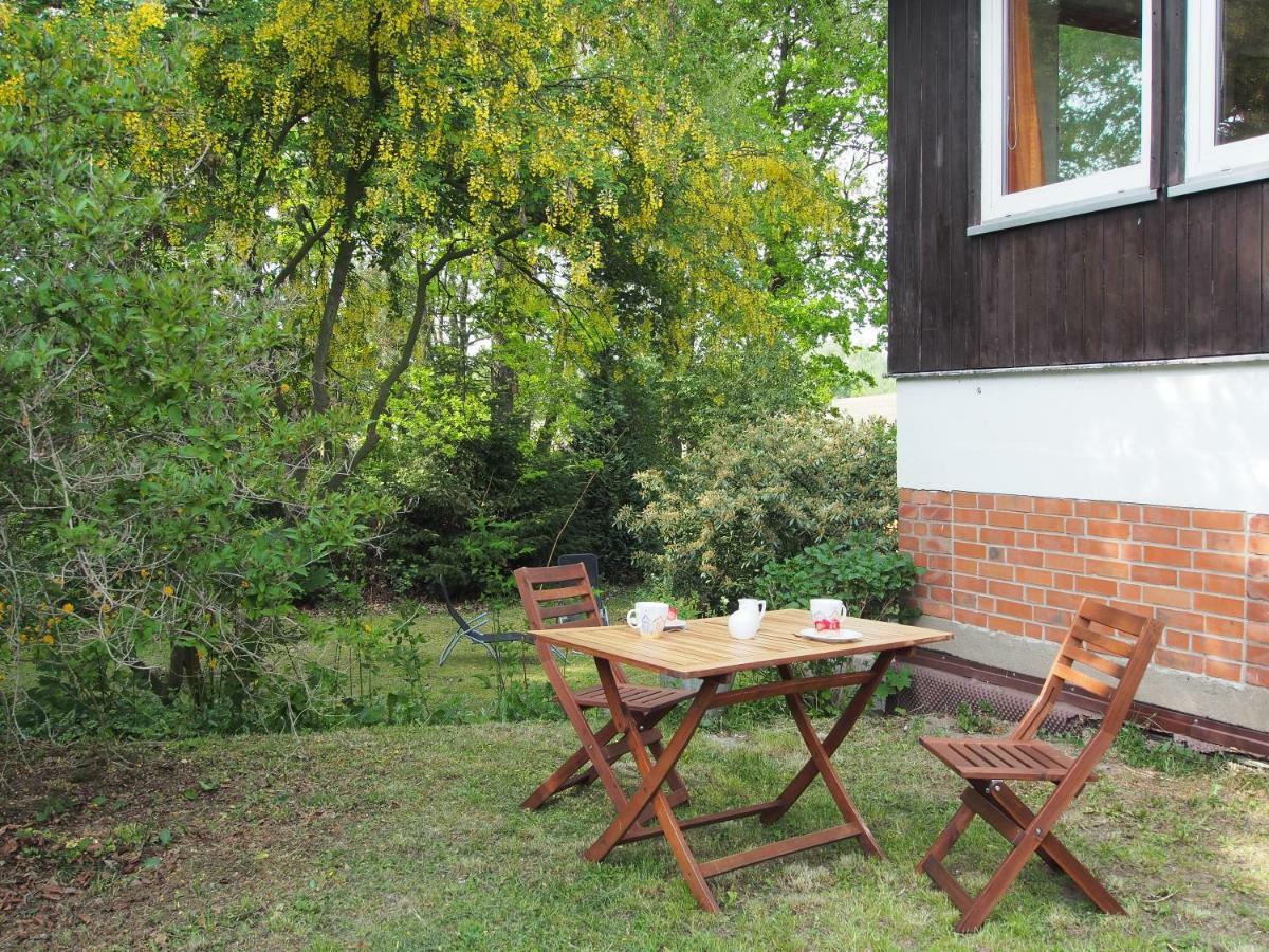 Ferienwohnung Am Duemmer See Dummer Dış mekan fotoğraf